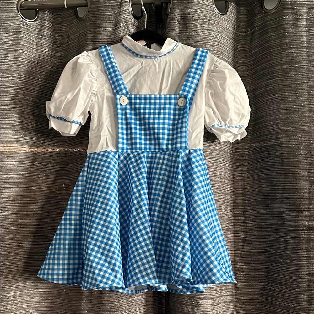 Wizard of Oz Dorothy Blue Gingham Dress with White Puff Sleeves